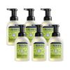 imageMRS MEYERS CLEAN DAY Foaming Hand Soap Concentrated Refills 4 Concentrated Refills 2 Fl Oz each Rain Water Scent Makes 40 Fl Oz of Foaming Soap Total167 Ounce Pack of 6