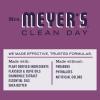 imageMRS MEYERS CLEAN DAY Body Lotion for Dry Skin NonGreasy Moisturizer Made with Essential Oils Plum Berry 16 fl oz  Pack of 3