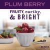 imageMRS MEYERS CLEAN DAY Body Lotion for Dry Skin NonGreasy Moisturizer Made with Essential Oils Plum Berry 16 fl oz  Pack of 3