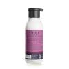imageMRS MEYERS CLEAN DAY Body Lotion for Dry Skin NonGreasy Moisturizer Made with Essential Oils Plum Berry 16 fl oz  Pack of 3