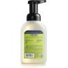 imageMRS MEYERS CLEAN DAY Foaming Hand Soap Biodegradable Formula Lemon Verbena 10 ozLemon Verbena