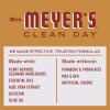 imageMRS MEYERS CLEAN DAY Hand Soap Made with Essential Oils Biodegradable Formula Limited Edition Apple Cider 125 fl ozApple Cider