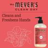 imageMRS MEYERS CLEAN DAY Hand Soap Made with Essential Oils Biodegradable Formula Rhubarb 125 fl ozRhubarb