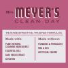 imageMRS MEYERS CLEAN DAY Liquid Dish Soap Biodegradable Formula Mum 16 Fl Oz Pack of 1