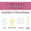 imageMRS MEYERS CLEAN DAY Liquid Dish Soap Biodegradable Formula Mum 16 fl oz16 Fl Oz Pack of 1