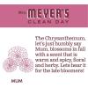 imageMRS MEYERS CLEAN DAY Liquid Dish Soap Biodegradable Formula Mum 16 fl oz16 Fl Oz Pack of 1