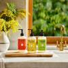 imageMRS MEYERS CLEAN DAY Liquid Hand Soap Dandelion Scent 125 Ounce Bottle125 Fl Oz
