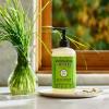 imageMRS MEYERS CLEAN DAY Liquid Hand Soap Dandelion Scent 125 Ounce Bottle125 Fl Oz