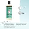 imageMRS MEYERS CLEAN DAY Moisturizing Body Wash for Women and Men Biodegradable Shower Gel Formula Made with Essential Oils Rain Water 16 oz16 Fl Oz Pack of 2
