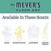 imageMRS MEYERS CLEAN DAY Moisturizing Body Wash for Women and Men Biodegradable Shower Gel Formula Made with Essential Oils Rain Water 16 oz16 Fl Oz Pack of 2