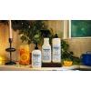 imageMRS MEYERS CLEAN DAY MultiSurface Cleaner Snow Drop 16 OZ16 Fl Oz Pack of 3