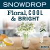 imageMRS MEYERS CLEAN DAY MultiSurface Cleaner Snow Drop 16 OZ16 Fl Oz Pack of 3