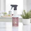 imageMRS MEYERS CLEAN DAY MultiSurface Everyday Cleaner Rosemary Scent 16 Ounce Bottle Pack of 3