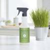 imageMRS MEYERS CLEAN DAY MultiSurface Everyday Cleaner Tomato Vine Scent 16 Ounce Bottle Pack of 3Fresh Cut Grass
