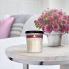 imageMRS MEYERS CLEAN DAY Soy Aromatherapy Candle 35 Hour Burn Time Made with Soy Wax and Essential Oils Mum 72 oz