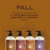 imageMrs MEYERS CLEAN DAY Fall Hand Soap Set includes Acorn Spice Fall Leaves Apple Cider and Elderberry