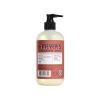 imageMrs MEYERS CLEAN DAY Liquid Hand Soap Fall Leaves Scent 125 fl oz Pack of 1Aloe Vera
