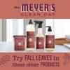 imageMrs MEYERS CLEAN DAY Liquid Hand Soap Fall Leaves Scent 125 fl oz Pack of 1Fall Leaves