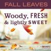 imageMrs MEYERS CLEAN DAY Liquid Hand Soap Fall Leaves Scent 125 fl oz Pack of 1Fall Leaves