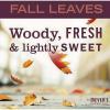 imageMrs MEYERS CLEAN DAY Liquid Hand Soap Fall Leaves Scent 125 fl oz Pack of 1Fall Leaves