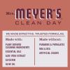 imageMrs MEYERS CLEAN DAY Liquid Hand Soap Fall Leaves Scent 125 fl oz Pack of 1Fall Leaves