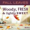imageMrs MEYERS CLEAN DAY Liquid Hand Soap Fall Leaves Scent 125 fl oz Pack of 1Fall Leaves