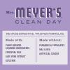 imageMrs MEYERS CLEAN DAY Liquid Hand Soap Fall Leaves Scent 125 fl oz Pack of 1Lilac  Daisy