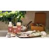 imageMrs MEYERS CLEAN DAY Liquid Hand Soap Limited Edition Gingerbread Scent 125 Ounce Bottle