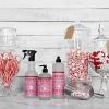 imageMrs MEYERS CLEAN DAY Liquid Hand Soap Oat Blossom Scent 125 Fl Oz Pack of 61 Count Pack of 3