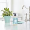 imageMrs MEYERS CLEAN DAY Liquid Hand Soap Oat Blossom Scent 125 Fl Oz Pack of 6125 Fl Oz Pack of 1