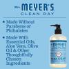 imageMrs MEYERS CLEAN DAY Liquid Hand Soap Oat Blossom Scent 125 Fl Oz Pack of 6125 Fl Oz Pack of 1