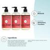 imageMrs MEYERS CLEAN DAY Liquid Hand Soap Oat Blossom Scent 125 Fl Oz Pack of 6125 Fl Oz Pack of 3