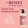 imageMrs MEYERS CLEAN DAY Liquid Hand Soap Oat Blossom Scent 125 Fl Oz Pack of 6125 Fl Oz Pack of 3