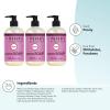 imageMrs MEYERS CLEAN DAY Liquid Hand Soap Oat Blossom Scent 125 Fl Oz Pack of 6125 Fl Oz Pack of 3