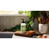 imageMRS MEYERS CLEAN DAY Hand Lotion Iowa Pine Scent 12 Ounce Bottle
