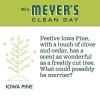 imageMRS MEYERS CLEAN DAY Hand Soap Made with Essential Oils Biodegradable Formula Honeysuckle 125 fl oz25 Fl Oz Pack of 1