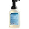 imageMRS MEYERS CLEAN DAY foaming Hand Soap Rainwater Scent 10 Fl Oz Pack of 1Rain Water
