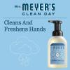 imageMRS MEYERS CLEAN DAY foaming Hand Soap Rainwater Scent 10 Fl Oz Pack of 1Rain Water