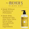 imageMrs MEYERS Clean Day Liquid Hand Soap Daisy Scent 125 Ounce Bottle Pack of 3