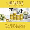 imageMrs MEYERS Clean Day Liquid Hand Soap Daisy Scent 125 Ounce Bottle Pack of 3