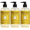 imageMrs MEYERS Clean Day Liquid Hand Soap Daisy Scent 125 Ounce Bottle Pack of 3