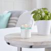 imageMRS MEYERS CLEAN DAY Soy Aromatherapy Candle 35 Hour Burn Time Made with Soy Wax and Essential Oils Limited Edition Apple Cider 72 oz  Pack of 2Basil