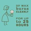 imageMRS MEYERS CLEAN DAY Soy Aromatherapy Candle 35 Hour Burn Time Made with Soy Wax and Essential Oils Limited Edition Apple Cider 72 oz  Pack of 2Basil