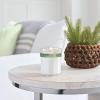 imageMRS MEYERS CLEAN DAY Soy Aromatherapy Candle 35 Hour Burn Time Made with Soy Wax and Essential Oils Limited Edition Apple Cider 72 oz  Pack of 2Pine