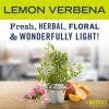 imageMRS MEYERS CLEAN DAY AllPurpose Cleaner Spray Honeysuckle 16 fl ozLemon Verbena