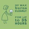imageMrs Meyers Clean Day Soy Candle Iowa Pine 72 Ounce Pack of 1