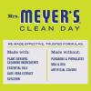 imageMrs Meyers Liquid Dish Soap Apple Cider 16 OZ Pack  11 Count Pack of 1