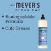 imageMrs Meyers Liquid Dish Soap Apple Cider 16 OZ Pack  116 Ounce Pack of 1