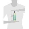 imageMrs Meyers Liquid Dish Soap Apple Cider 16 OZ Pack  148 Fl Oz Pack of 1